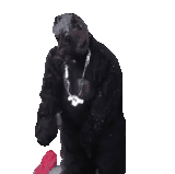 IMG 6382.gif