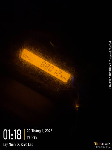 d166b1e32272.jpg