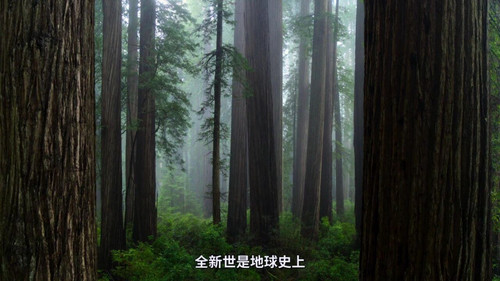 2659 01 大卫 爱登堡 地球上的一段生命旅程.jpg