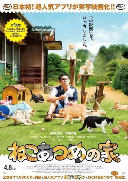 2535 01 猫咪后院之家.jpg