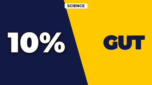 thumb gut health and metabolism connection landscape.png