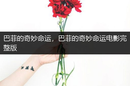 2554 01 巴菲的奇妙命运.jpg