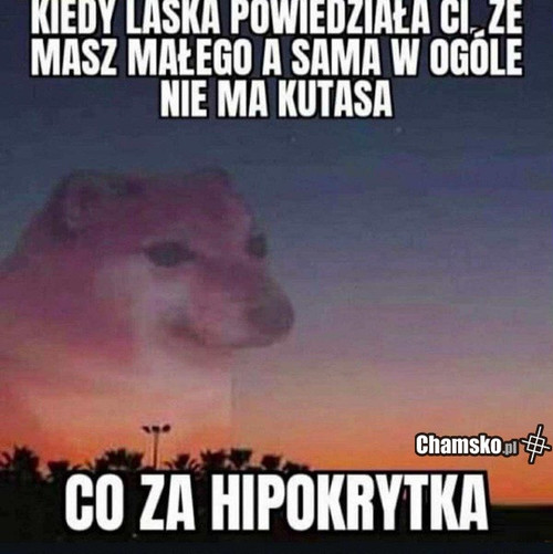 0 1 134414 Hipokrytka przez pluszowymis.jpg