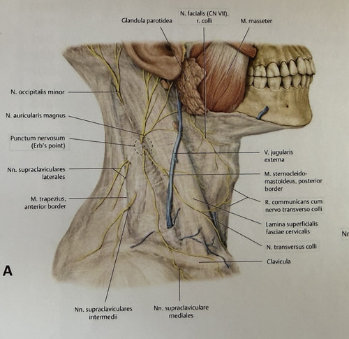 c1d2cf59529b.jpg