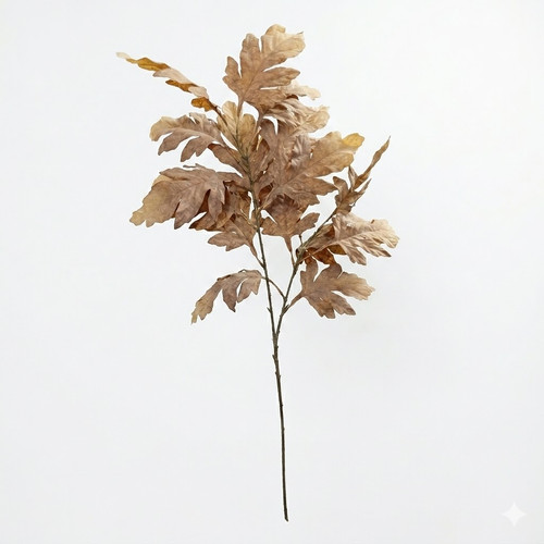 59d4deaa 7554 48aa 8103 7fe89d3adc72.jpg