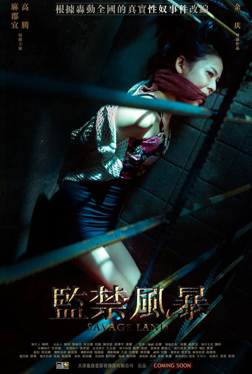 433 01 监禁风暴.jpg