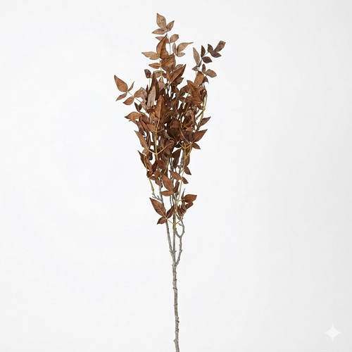 8d494665 ee18 4d98 842b 462aa715c30f.jpg