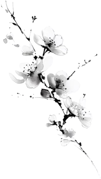 retouch 2026042902423851.png