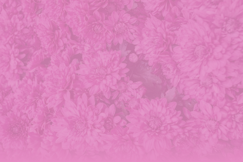 dahlia bg 2804.png