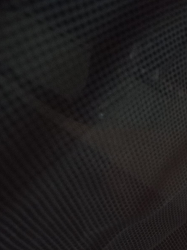 temp.png