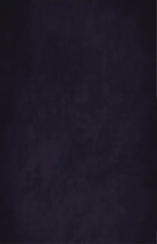 Artboard 216.webp