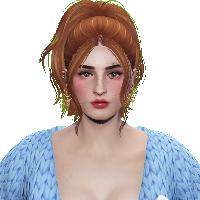 81b1256d40d9.png