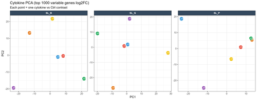01 cytokine PCA per organoid.png