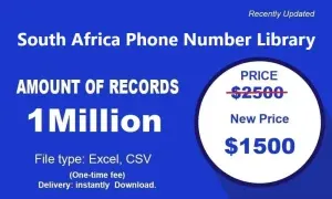 imgi 287 South Africa Phone Number Library 300x180.webp