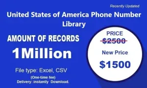 imgi 315 United States of America Phone Number Library 300x180.webp