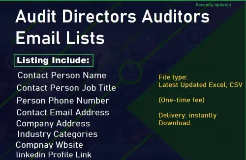 Audit Directors Auditors Email Lists.webp