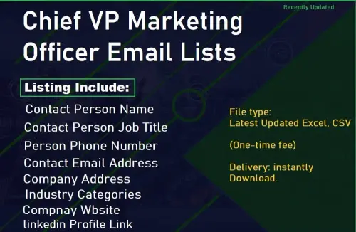 Chief VP Marketing Officer Email Lists.webp