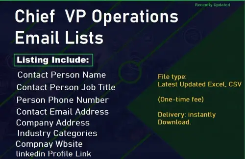 Chief VP Operations Email Lists.webp