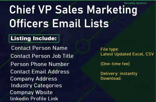 Chief VP Sales Marketing Officers Email Lists.webp