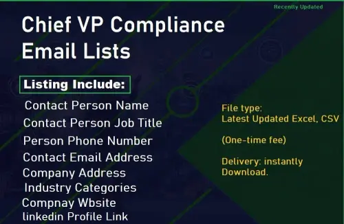 Chief VP Compliance Email Lists.webp