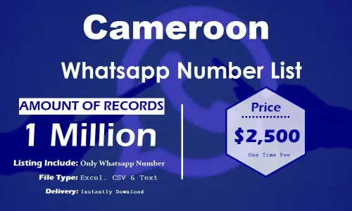 Список номеров WhatsApp в Камеруне.webp