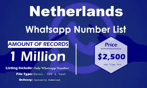 Список номеров WhatsApp в Нидерландах.webp