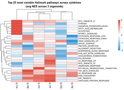 06 top variable hallmark per cytokine.png