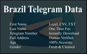 imgi 59 Brazil Telegram Data 300x188.webp