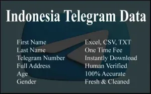 imgi 70 Indonesia Telegram Data 300x188.webp