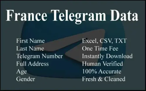 imgi 64 France Telegram Data 768x480.webp