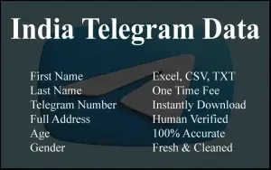 imgi 69 India Telegram Data 300x188.webp