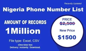 imgi 298 Nigeria Phone Number List 300x180.webp