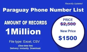 imgi 301 Paraguay Phone Number List 300x180.webp