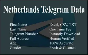 imgi 92 Netherlands Telegram Data 300x188.webp