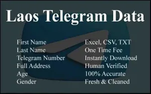 imgi 82 Laos Telegram Data 300x188.webp