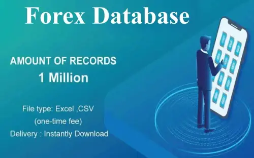 Forex Database.webp