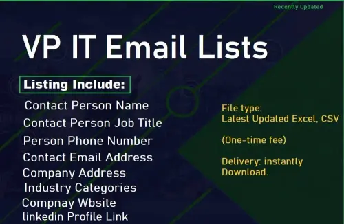 VP IT Email Lists.webp