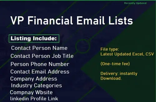 VP Financial Email Lists.webp