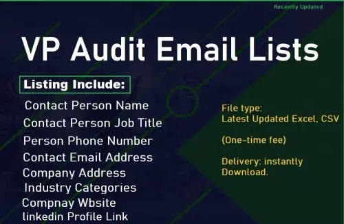 VP Audit Email Lists.webp