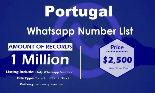 Список номеров WhatsApp в Португалии.webp