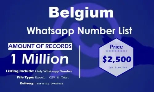 Belgium Whatsapp Number List 768x461.webp