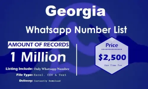 Georgia Whatsapp Number List 768x461.webp