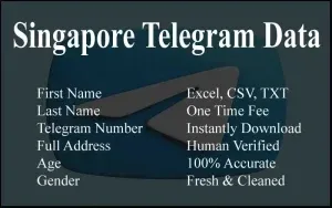 imgi 108 Singapore Telegram Data 300x188.webp
