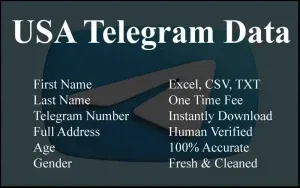 imgi 128 USA Telegram Data 300x188.webp