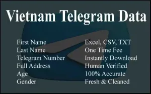 imgi 130 Vietnam Telegram Data 300x188.webp
