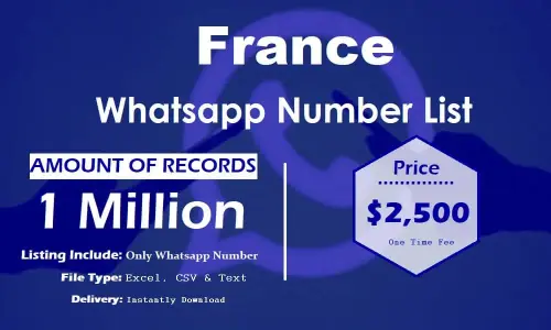 Список номеров WhatsApp во Франции.webp