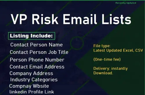 VP Risk Email Lists.webp