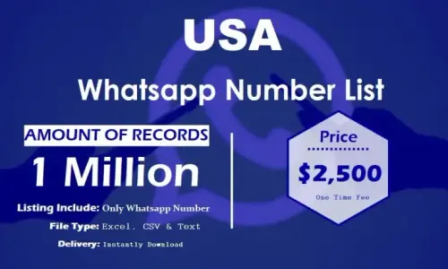 USA Whatsapp Number List 768x461.webp