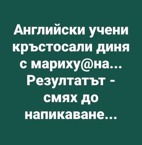 1000007977.jpg