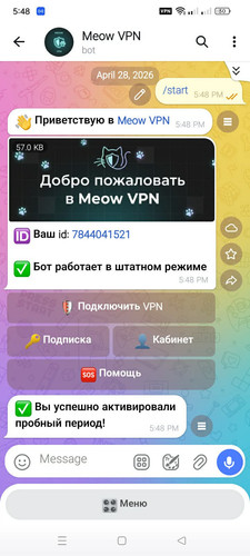 675447509 1808546350518374 7236466454432682284 n.jpg